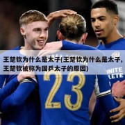 王楚钦为什么是太子(王楚钦为什么是太子,王楚钦被称为国乒太子的原因)