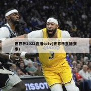 世界杯2022直播cctv(世界杯直播赛事)