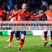 贵州茅台足球俱乐部(贵州茅台足球俱乐部长什么样的)