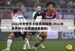 2022年世界杯小组赛赛程表(2022年世界杯小组赛赛程表最新)
