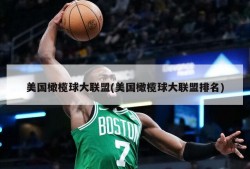 美国橄榄球大联盟(美国橄榄球大联盟排名)