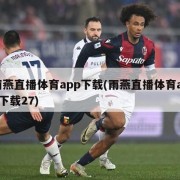 雨燕直播体育app下载(雨燕直播体育app下载27)