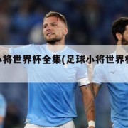 足球小将世界杯全集(足球小将世界杯27集全)