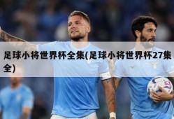足球小将世界杯全集(足球小将世界杯27集全)