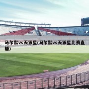 马尔默vs天狼星(马尔默vs天狼星比赛直播)