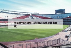 马尔默vs天狼星(马尔默vs天狼星比赛直播)