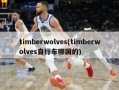 timberwolves(timberwolves自行车哪国的)