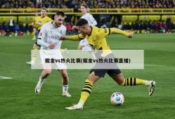 掘金vs热火比赛(掘金vs热火比赛直播)