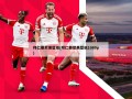 拜仁慕尼黑壁纸(拜仁慕尼黑壁纸1080p)