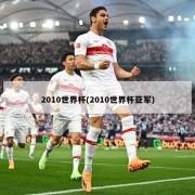 2010世界杯(2010世界杯亚军)