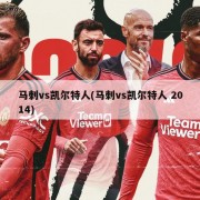 马刺vs凯尔特人(马刺vs凯尔特人 2014)