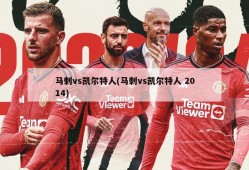 马刺vs凯尔特人(马刺vs凯尔特人 2014)