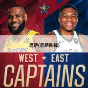 巴萨(巴萨队标)
