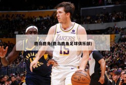 鹿岛鹿角(鹿岛鹿角足球俱乐部)