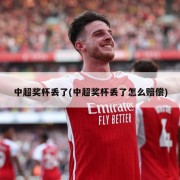 中超奖杯丢了(中超奖杯丢了怎么赔偿)