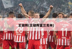 王骁辉(王骁辉富兰克林)