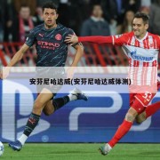 安芬尼哈达威(安芬尼哈达威体测)