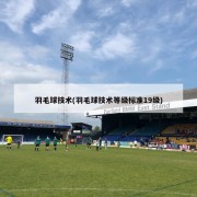 羽毛球技术(羽毛球技术等级标准19级)