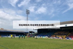 羽毛球技术(羽毛球技术等级标准19级)