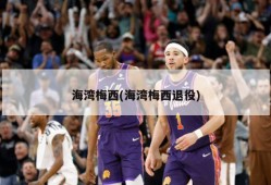 海湾梅西(海湾梅西退役)