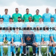 鹈鹕队是哪个队(鹈鹕队改名前是哪个队)