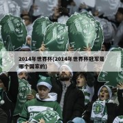 2014年世界杯(2014年世界杯冠军是哪个国家的)
