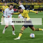 伊巴卡国籍(伊巴卡简历)