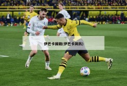 伊巴卡国籍(伊巴卡简历)