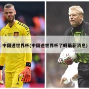 中国进世界杯(中国进世界杯了吗最新消息)