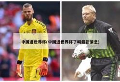 中国进世界杯(中国进世界杯了吗最新消息)