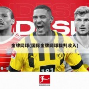 金牌网球(国际金牌网球裁判收入)
