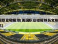 美国职业橄榄球(美国职业橄榄球员文斯·帕培尔)