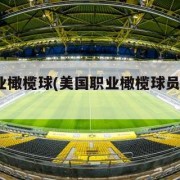 美国职业橄榄球(美国职业橄榄球员文斯·帕培尔)