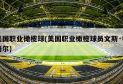 美国职业橄榄球(美国职业橄榄球员文斯·帕培尔)