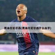 贾米尔尼尔森(贾米尔尼尔森什么水平)