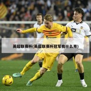 英超联赛杯(英超联赛杯冠军有什么用)
