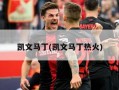 凯文马丁(凯文马丁热火)