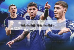 孙悦nba数据(孙悦 nba得分)