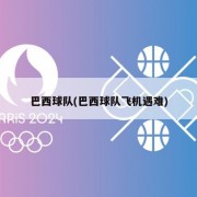 巴西球队(巴西球队飞机遇难)