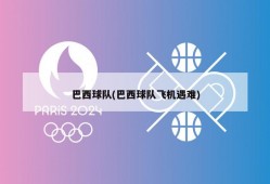 巴西球队(巴西球队飞机遇难)