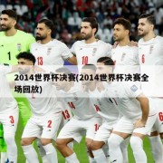 2014世界杯决赛(2014世界杯决赛全场回放)