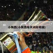 小梅西(小梅西每天训练明细)