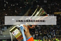 小梅西(小梅西每天训练明细)