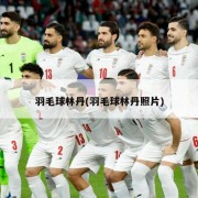 羽毛球林丹(羽毛球林丹照片)