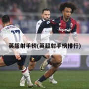 英超射手榜(英超射手榜排行)