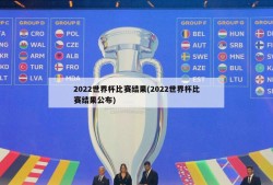 2022世界杯比赛结果(2022世界杯比赛结果公布)