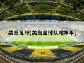 关岛足球(关岛足球队啥水平)