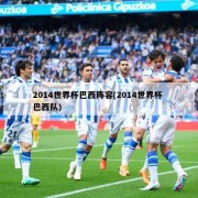 2014世界杯巴西阵容(2014世界杯 巴西队)