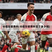 卡塔尔世界杯(卡塔尔世界杯花了多少钱)