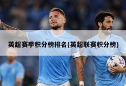 英超赛季积分榜排名(英超联赛积分榜)